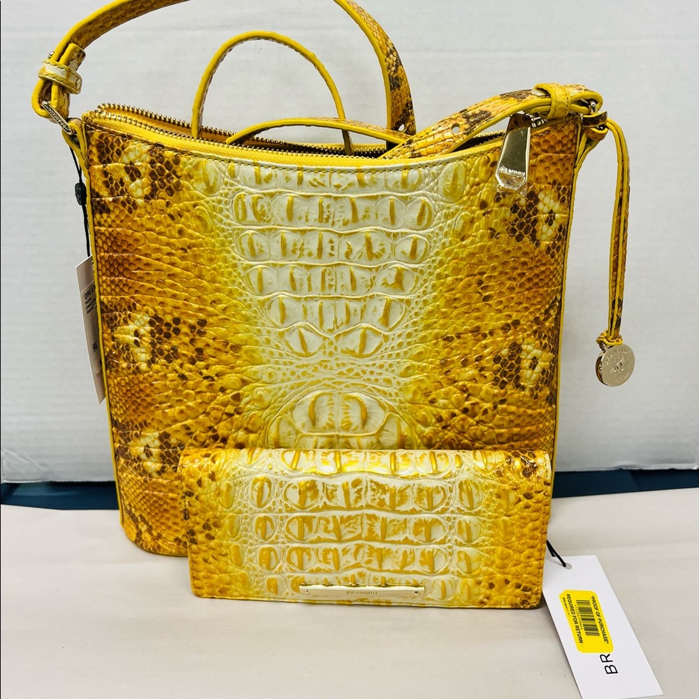 NWTS Beautiful Brahmin Katie crossbody and matching Ady wallet..